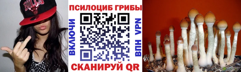 Купить закладки  Чишмы  Псилоцибиновые грибы Magic Shrooms 