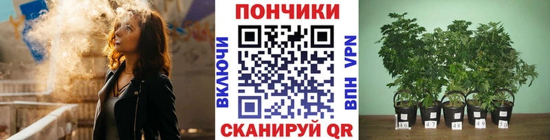 Купить где  Чишмы  Канабис индика 